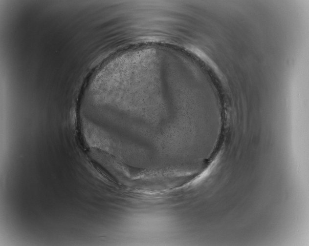 X0000088030969200706081458