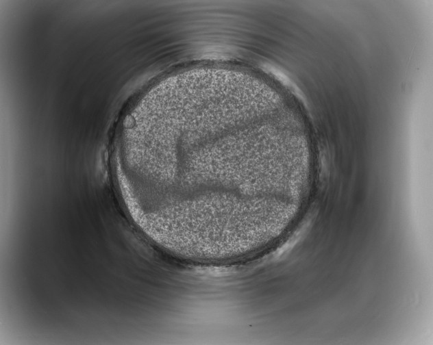 X0000088030970200706081458