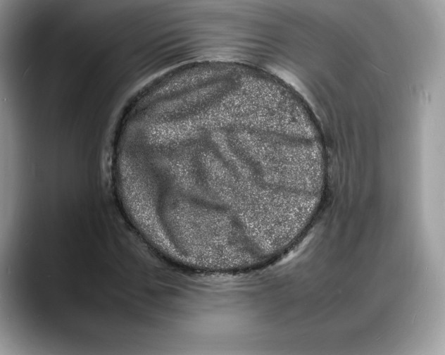 X0000088030971200706081458