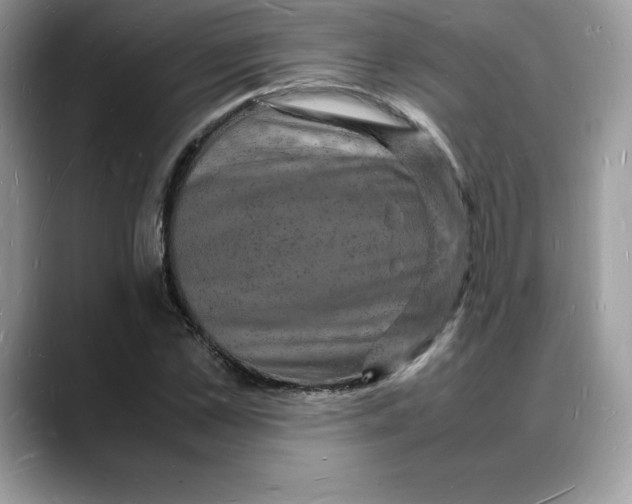 X0000088030973200706081458