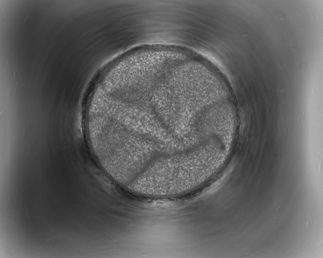 X0000088030974200706081458