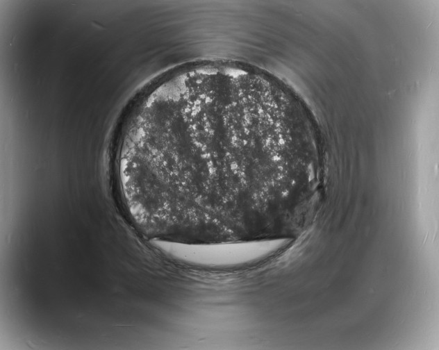 X0000088030975200706081458