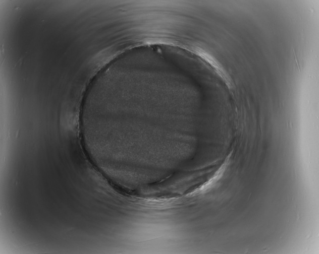 X0000088030977200706081458
