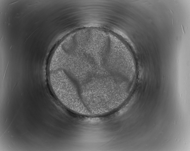 X0000088030978200706081458