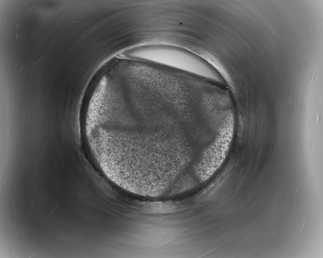 X0000088030980200706081458