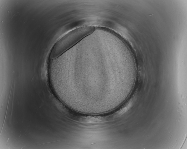 X0000088030981200706081458