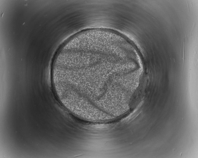 X0000088030982200706081458