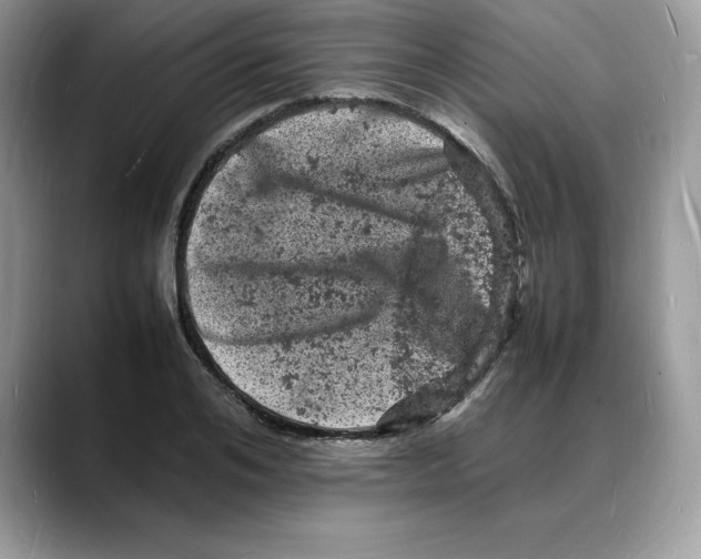 X0000088030984200706081458