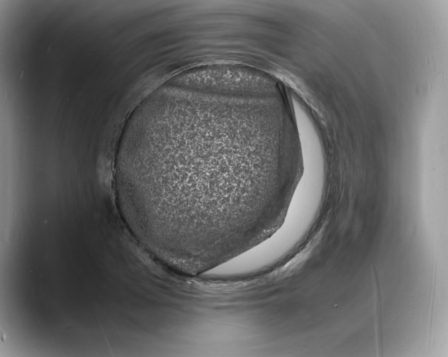X0000088030985200706081458