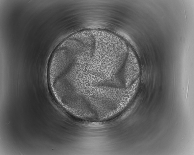 X0000088030986200706081458