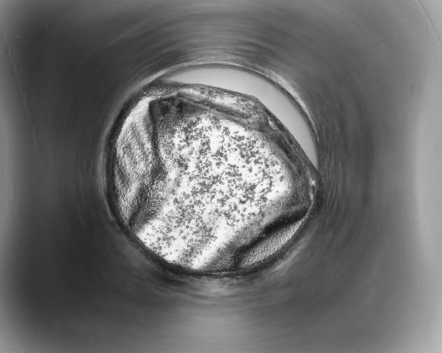 X0000088030987200706081458