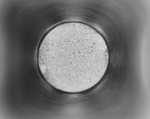 X0000088030988200706081458