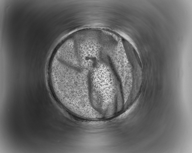 X0000088030989200706081458