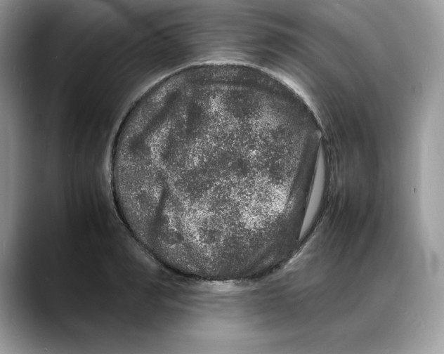 X0000088030990200706081458
