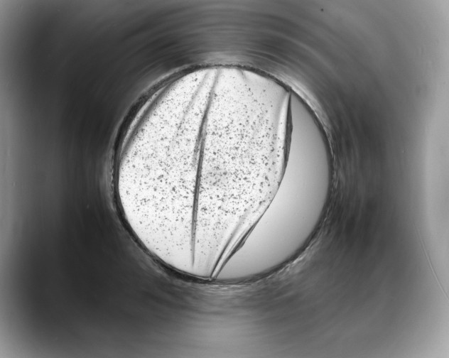 X0000088030992200706081458