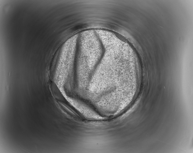 X0000088030993200706081458