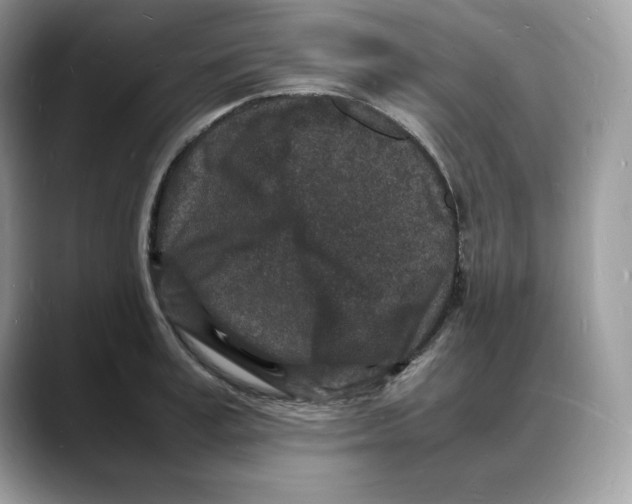 X0000088030995200706081458
