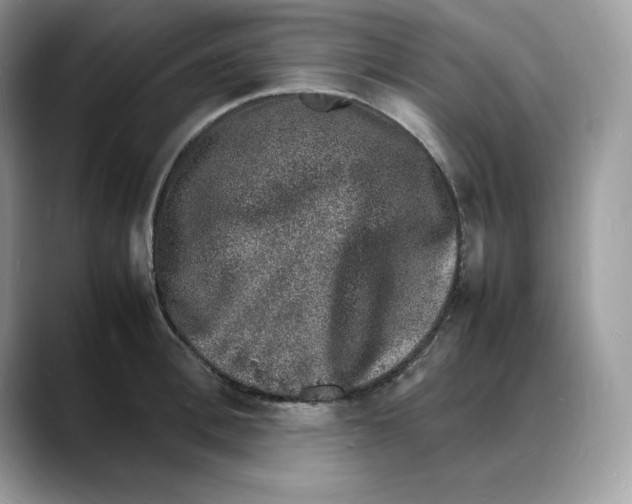 X0000088030996200706081458
