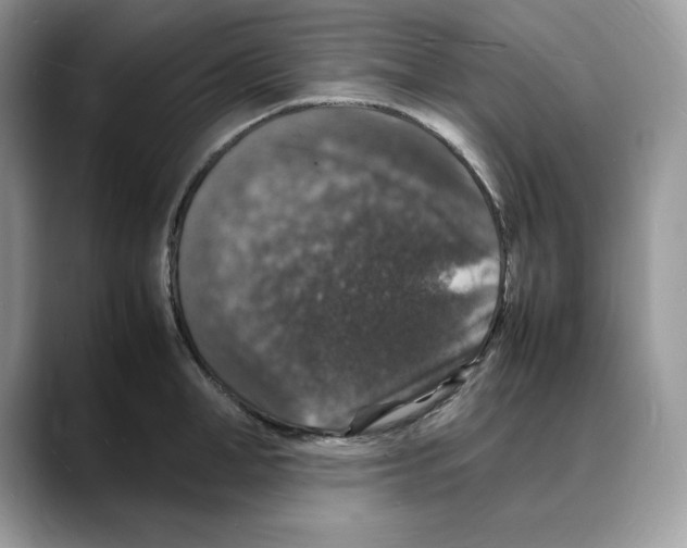 X0000088030998200706081458