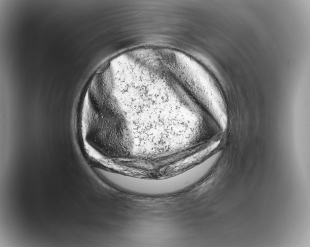 X0000088030999200706081458