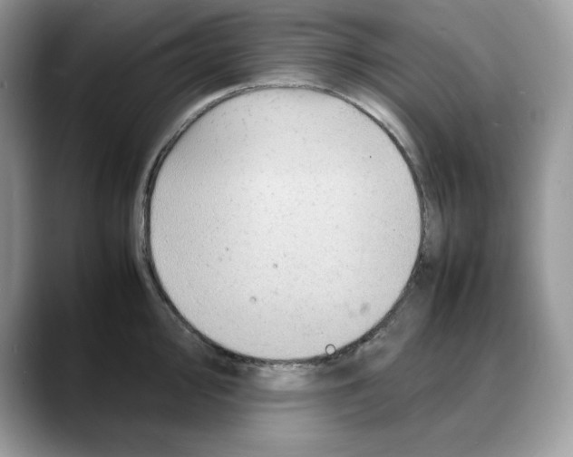 X0000088031000200706081458