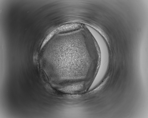 X0000088031001200706081458