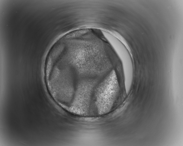 X0000088031005200706081457