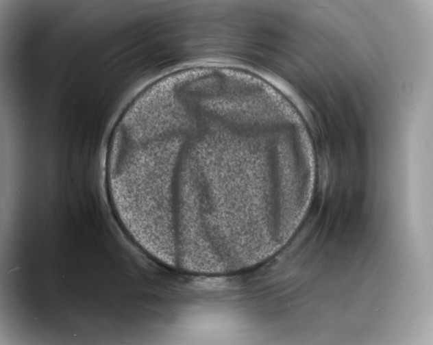 X0000088031006200706081457
