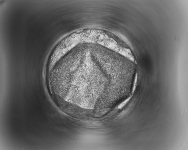 X0000088031007200706081457