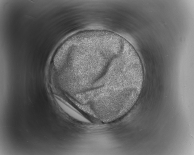 X0000088031008200706081457