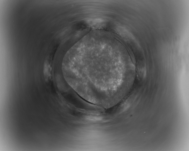 X0000088031010200706081457