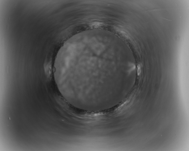 X0000088031011200706081457