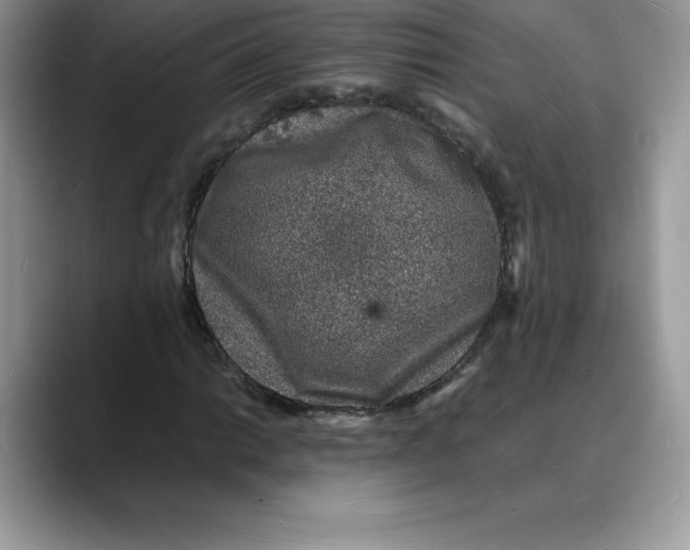 X0000088031014200706081457