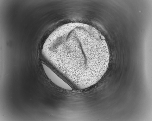 X0000088031016200706081457