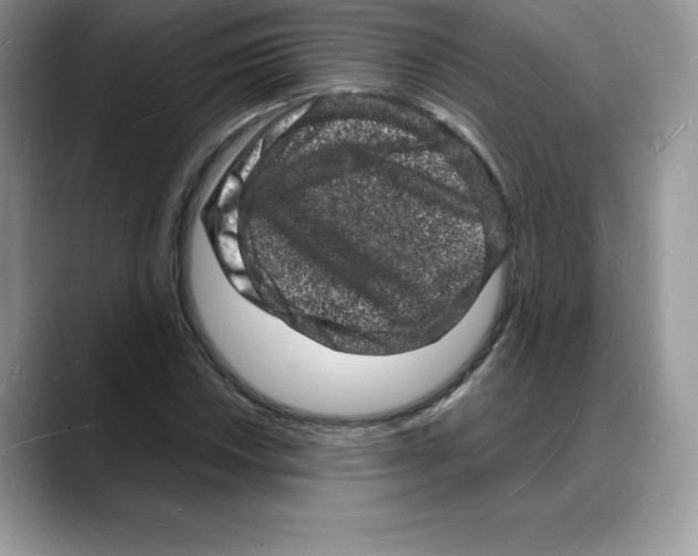 X0000088031018200706081457