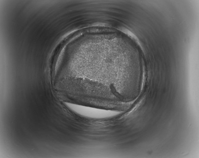 X0000088031019200706081457