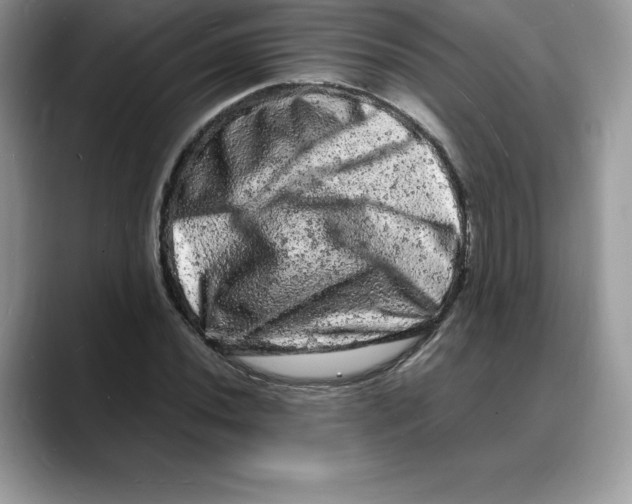 X0000088031020200706081457