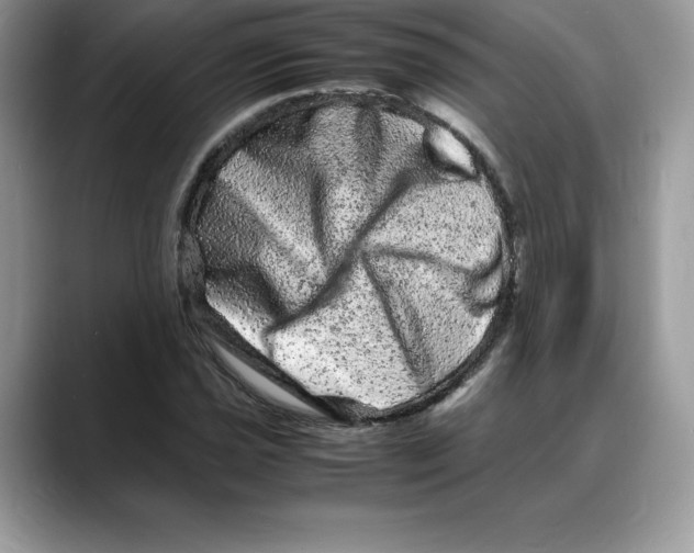 X0000088031021200706081457