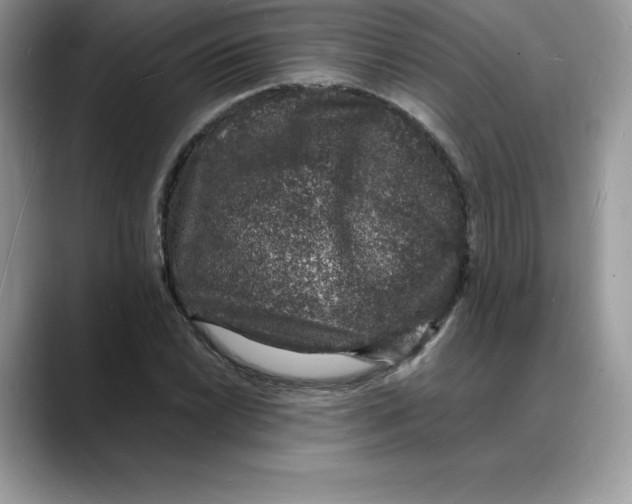 X0000088031022200706081457