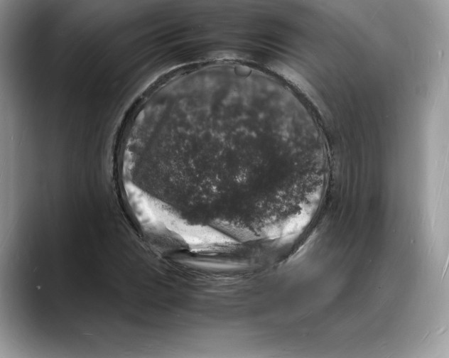 X0000088031023200706081457