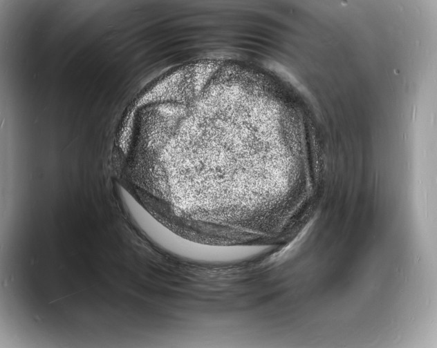 X0000088031025200706081457