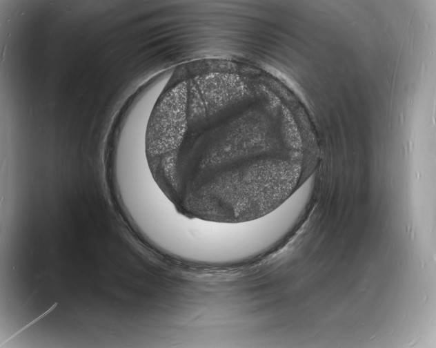 X0000088031026200706081457