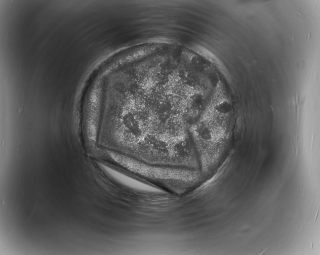 X0000088031027200706081457