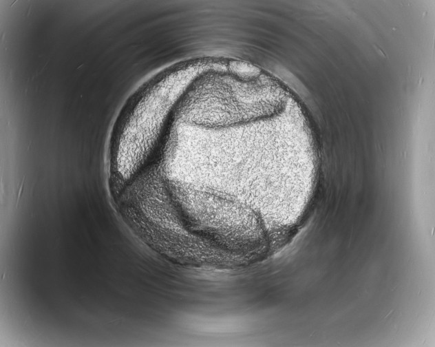 X0000088031028200706081457