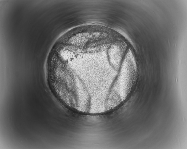 X0000088031032200706081457