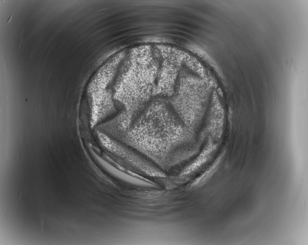 X0000088031033200706081457