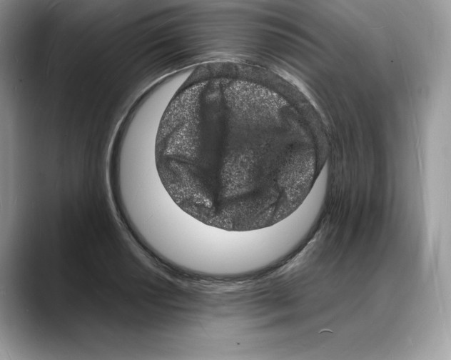 X0000088031034200706081457