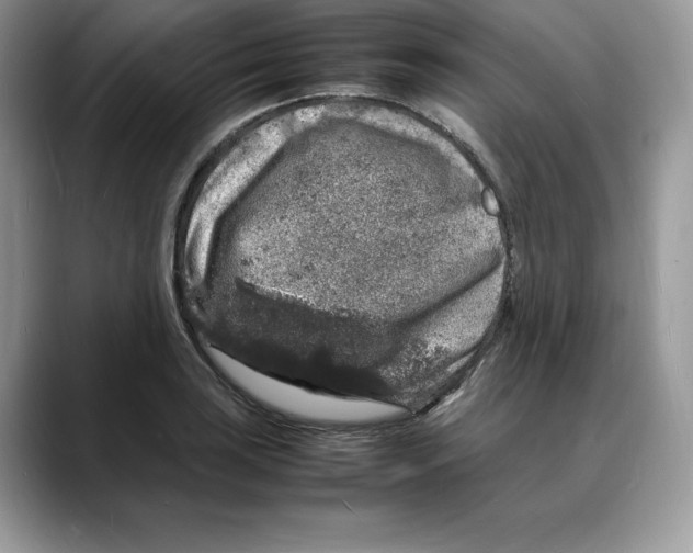 X0000088031035200706081457