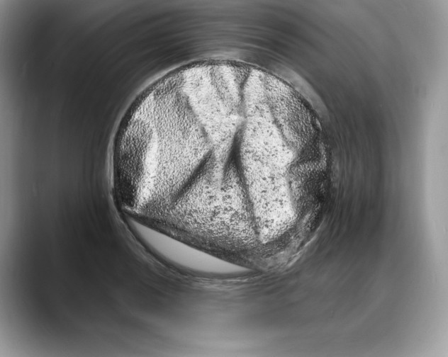X0000088031036200706081457
