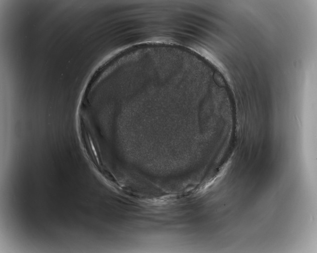 X0000088031037200706081457